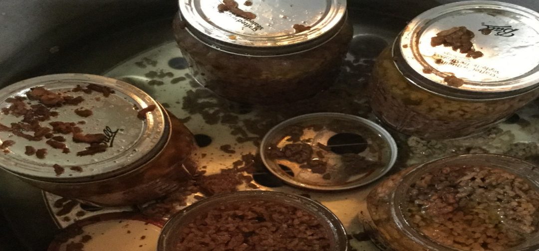 Canning Fail of the Day