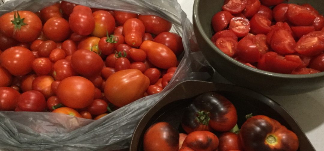 Tomato Ketchup (sauce for us Aussies)