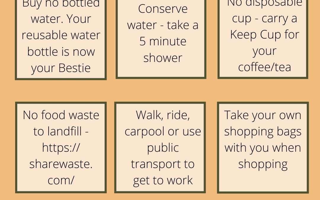 7 simple sustainability changes